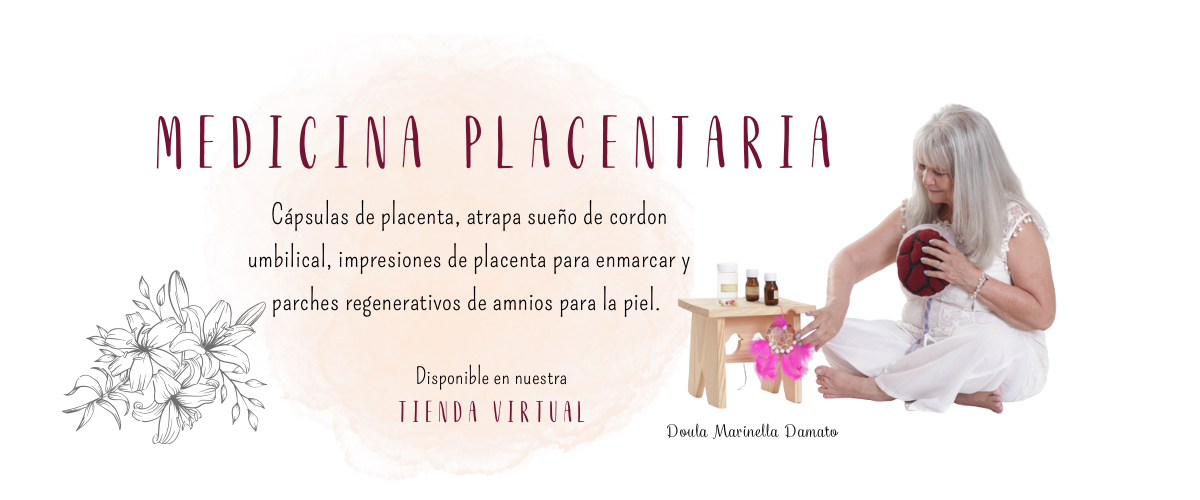 banner placenta2